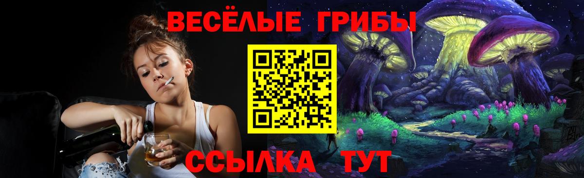 Галлюциногенные грибы Psilocybe  Вход с VPN  Новокуйбышевск 