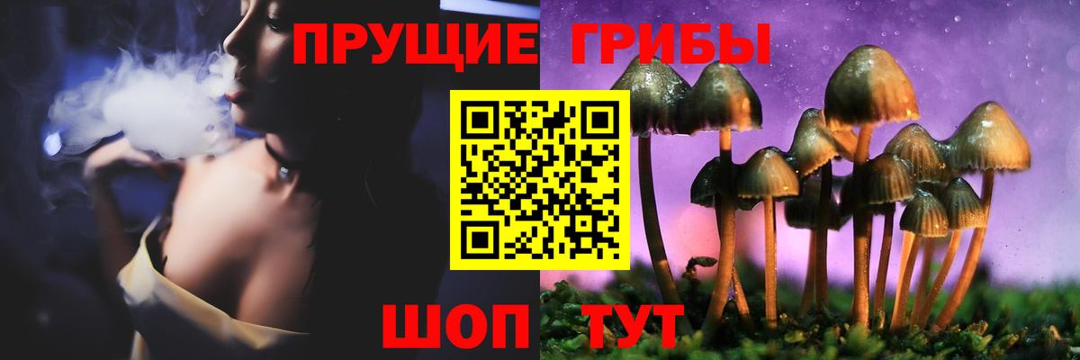Галлюциногенные грибы Cubensis Новокуйбышевск